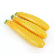 Frozen Sliced Yellow Zucchini Squash
